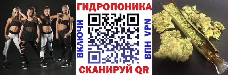 Купить закладку Alpha PVP  Меф мяу мяу  МДМА  ГАШИШ  АМФЕТАМИН  Туринск