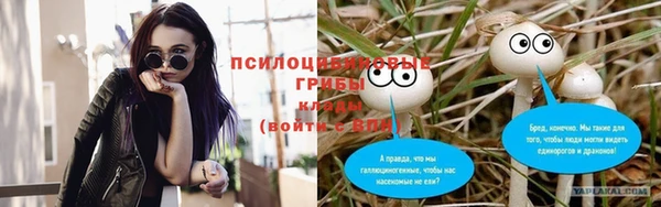 2c-b Дмитровск