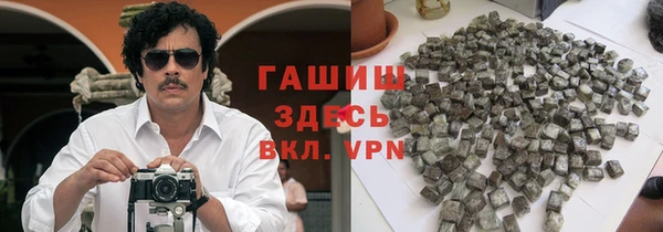 тгк Дмитриев