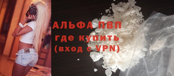 тгк Дмитриев