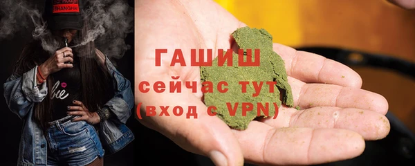 тгк Дмитриев
