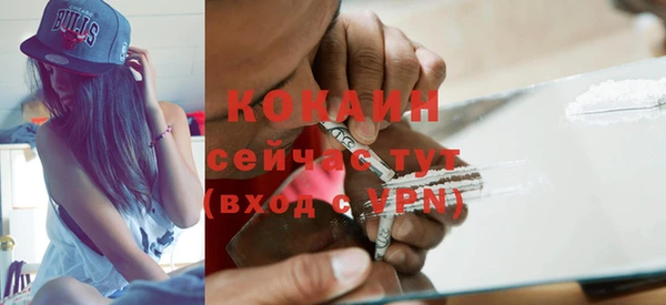 тгк Дмитриев