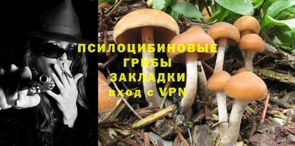 тгк Дмитриев