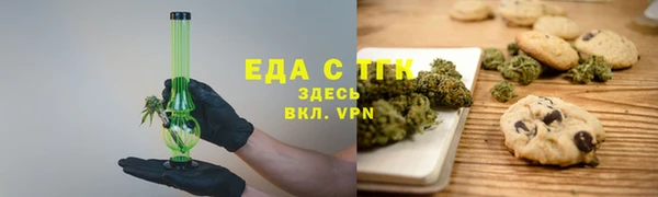 тгк Дмитриев