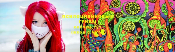тгк Дмитриев