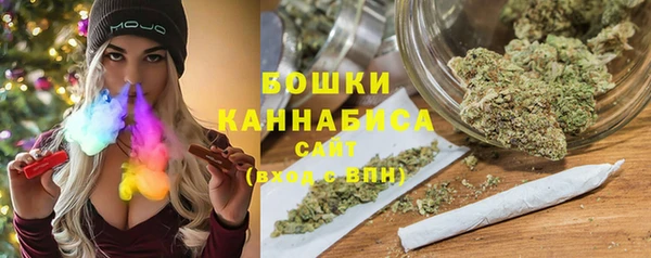 тгк Дмитриев