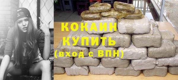 тгк Дмитриев