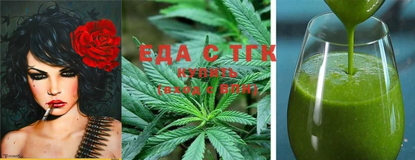 тгк Дмитриев