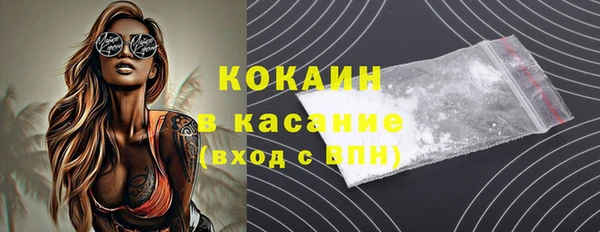 тгк Дмитриев