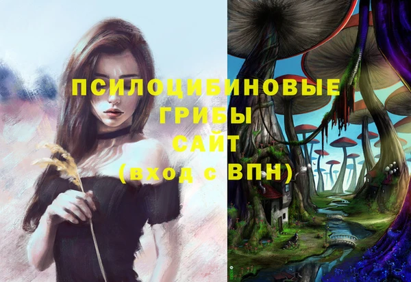2c-b Дмитровск