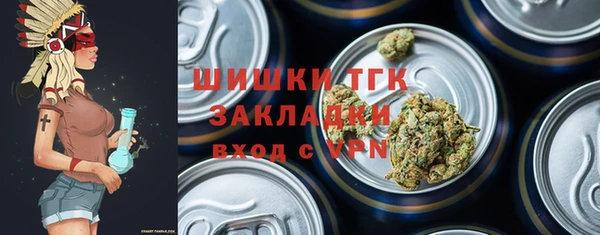 тгк Дмитриев